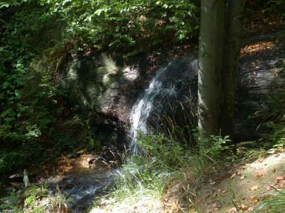 dusica