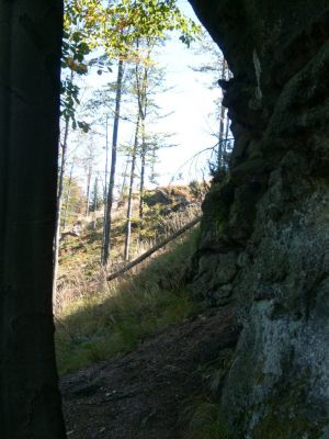 Click to view full size image