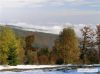 PA250762.jpg