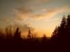 SDC12567.JPG