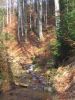 dorotygibasy 022.jpg